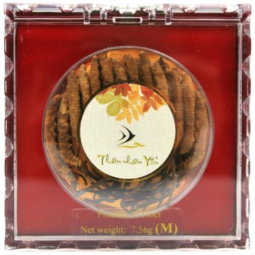 Ðông Trùng Hạ Thảo Tây Tạng Thiên Nhiên - MEDIUM 7.56g