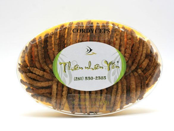 Ðông Trùng Hạ Thảo Tây Tạng Thiên Nhiên - MEDIUM 18.9g