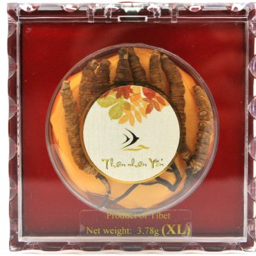 Ðông Trùng Hạ Thảo Tây Tạng Thiên Nhiên - X-LARGE 3.78g