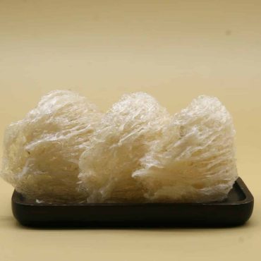Yến sào Khánh Hoà - Tinh chế tiêu chuẩn 100gr